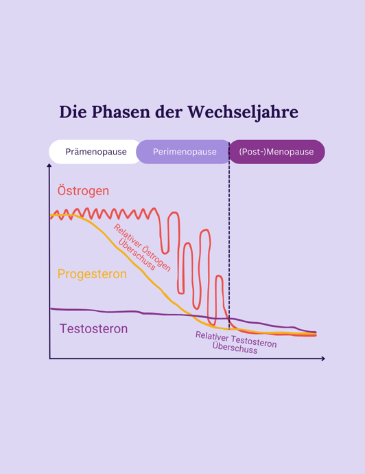 Mehr Artikel